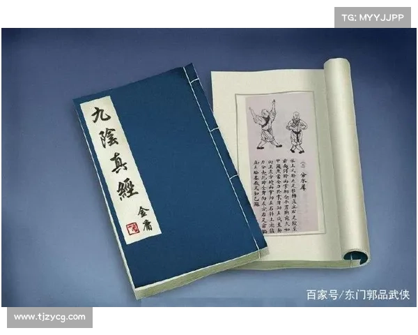 极真武学 纵横南北 南帝北丐秘籍破解 极真武学 纵横南北 南帝北丐秘籍破解